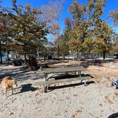 Review photo of Hartwell Lakeside KOA Holiday by david S., November 1, 2023