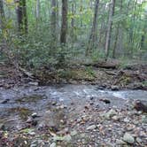 Review photo of Hickory Gap by Bobbi Jo P., September 24, 2025