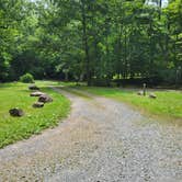 Review photo of Jacks River Fields Campground — Chattahoochee Oconee National Forest by Bob P., July 4, 2024