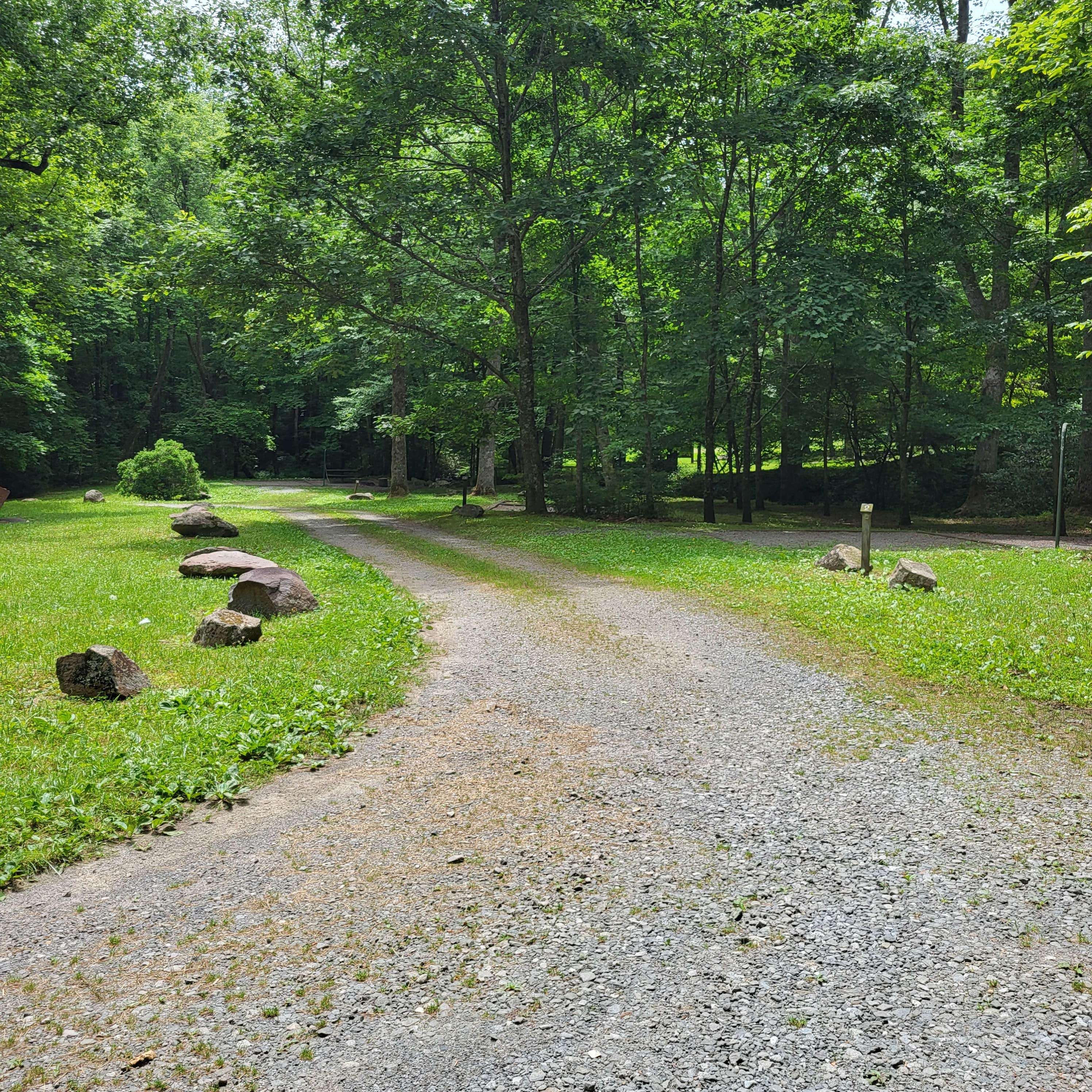 Camper submitted image from Jacks River Fields Campground — Chattahoochee Oconee National Forest - 4