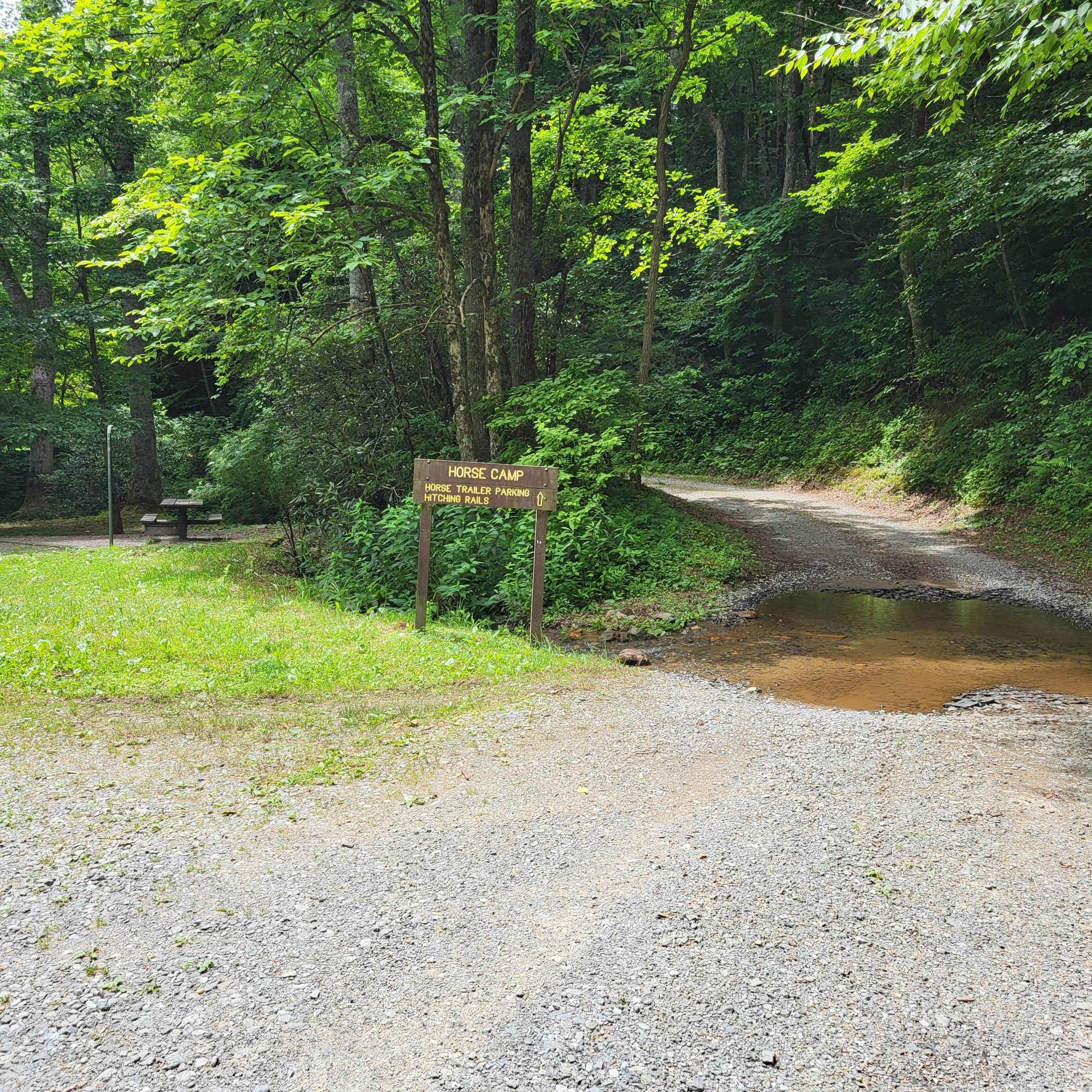 Camper submitted image from Jacks River Fields Campground — Chattahoochee Oconee National Forest - 4