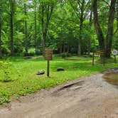 Review photo of Jacks River Fields Campground — Chattahoochee Oconee National Forest by Bob P., July 4, 2024