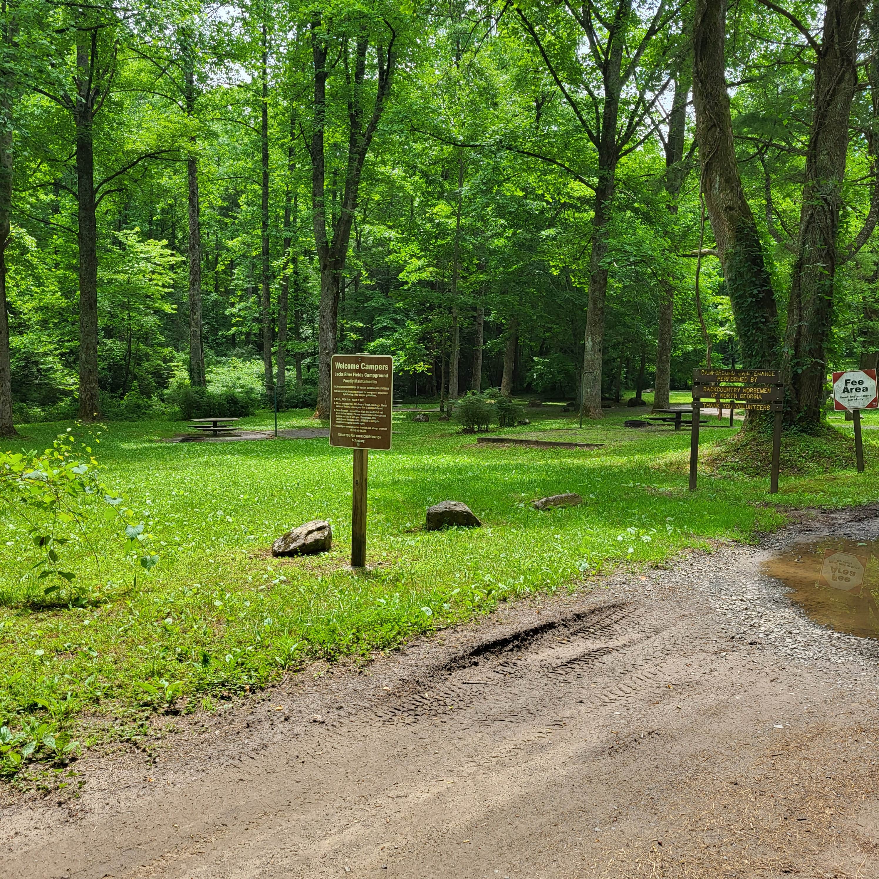 Camper submitted image from Jacks River Fields Campground — Chattahoochee Oconee National Forest - 5