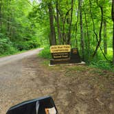 Review photo of Jacks River Fields Campground — Chattahoochee Oconee National Forest by Bob P., July 4, 2024