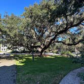 Review photo of Jekyll Island Campground by Nik J., November 15, 2025
