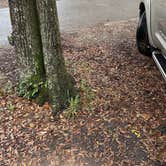 Review photo of Jekyll Island Campground by Nik J., October 19, 2025