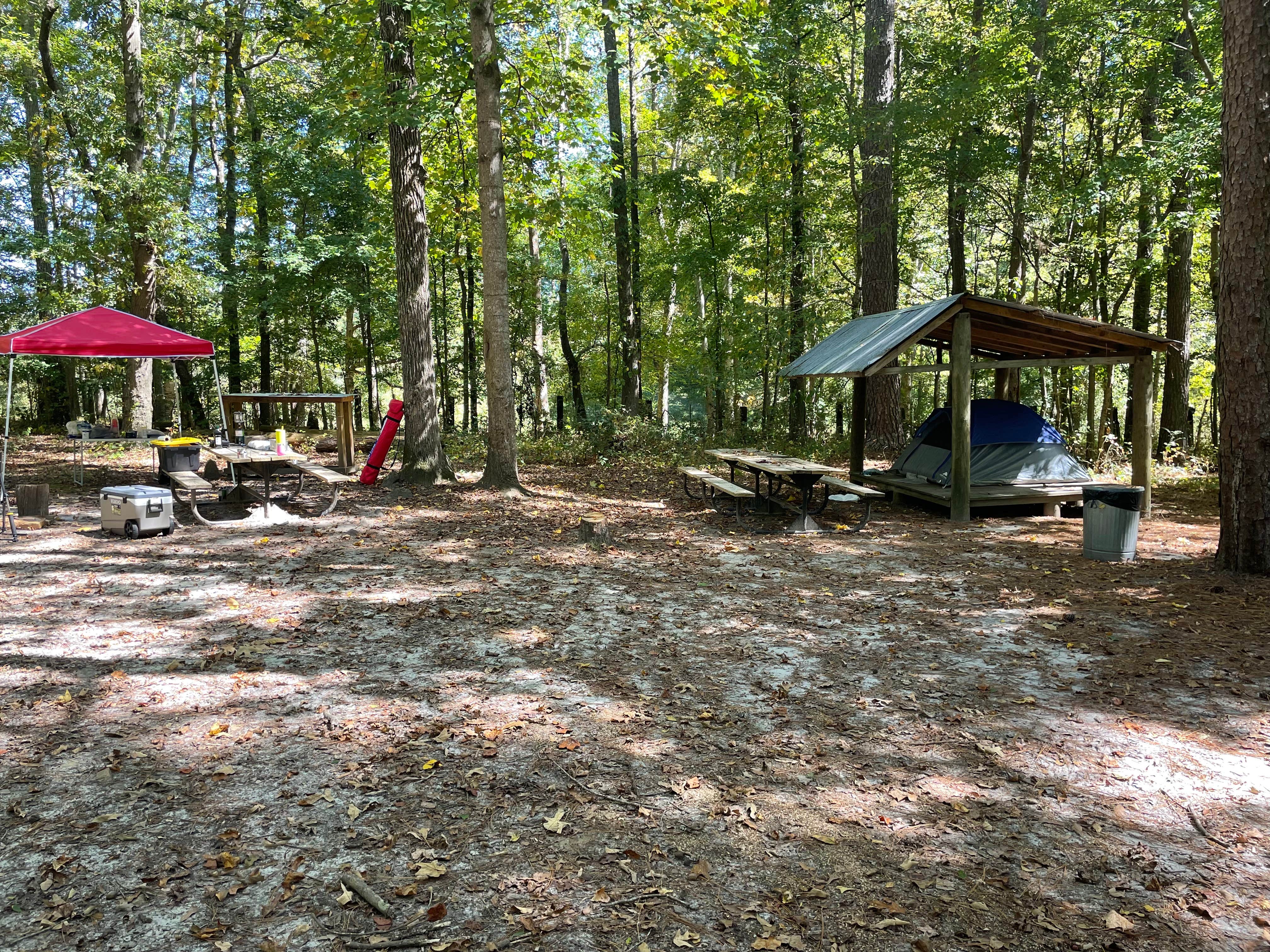 Camper submitted image from John Tanner Park Campground - 4