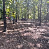 Review photo of John Tanner Park Campground by Raymond , October 9, 2023