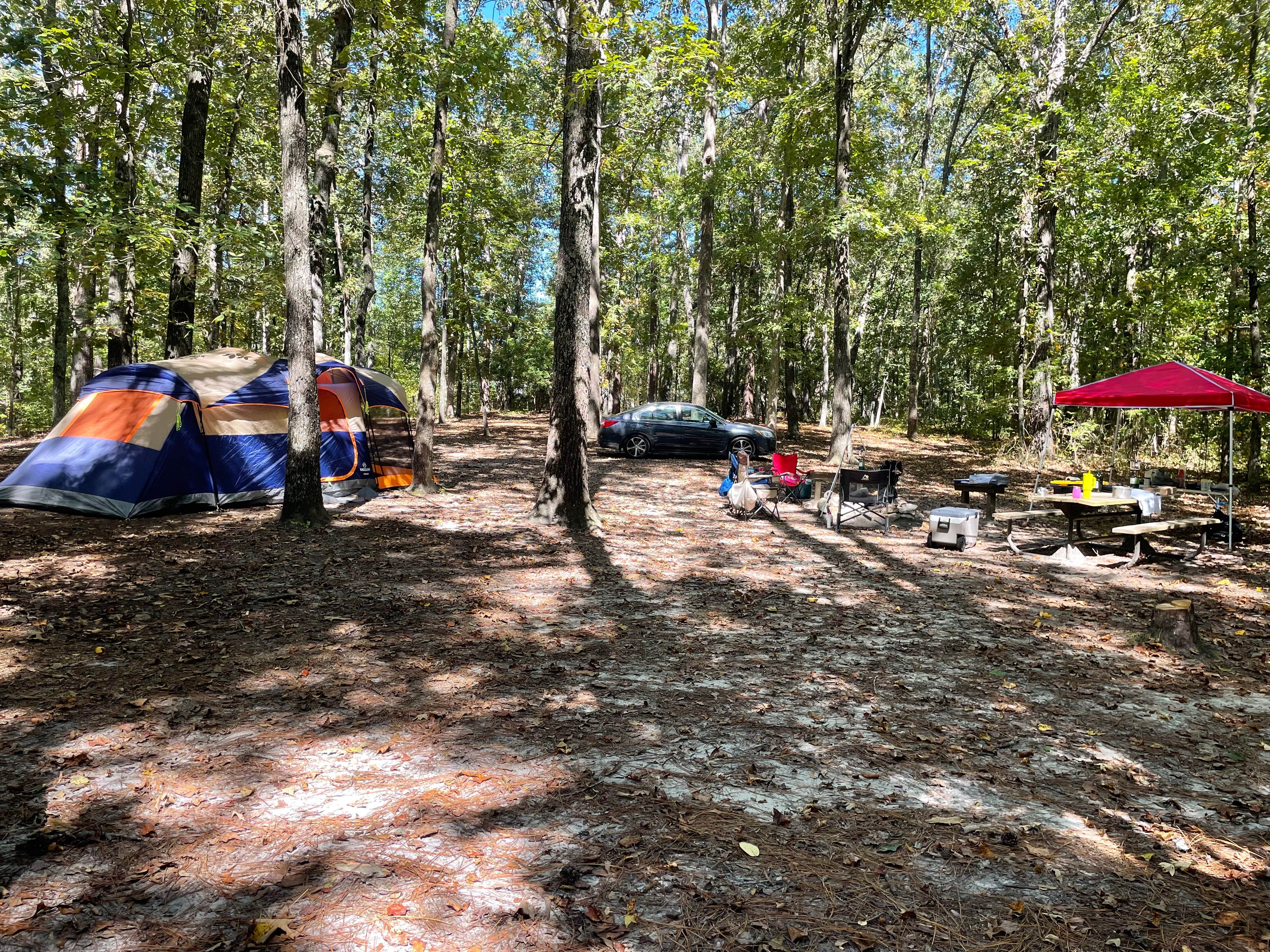Camper-submitted photo at John Tanner Park Campground near Winston, GA