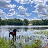 Review photo of Kolomoki Mounds State Park Campground by T. B., June 15, 2026