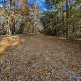 Review photo of Kolomoki Mounds State Park Campground by Shea D., November 14, 2025