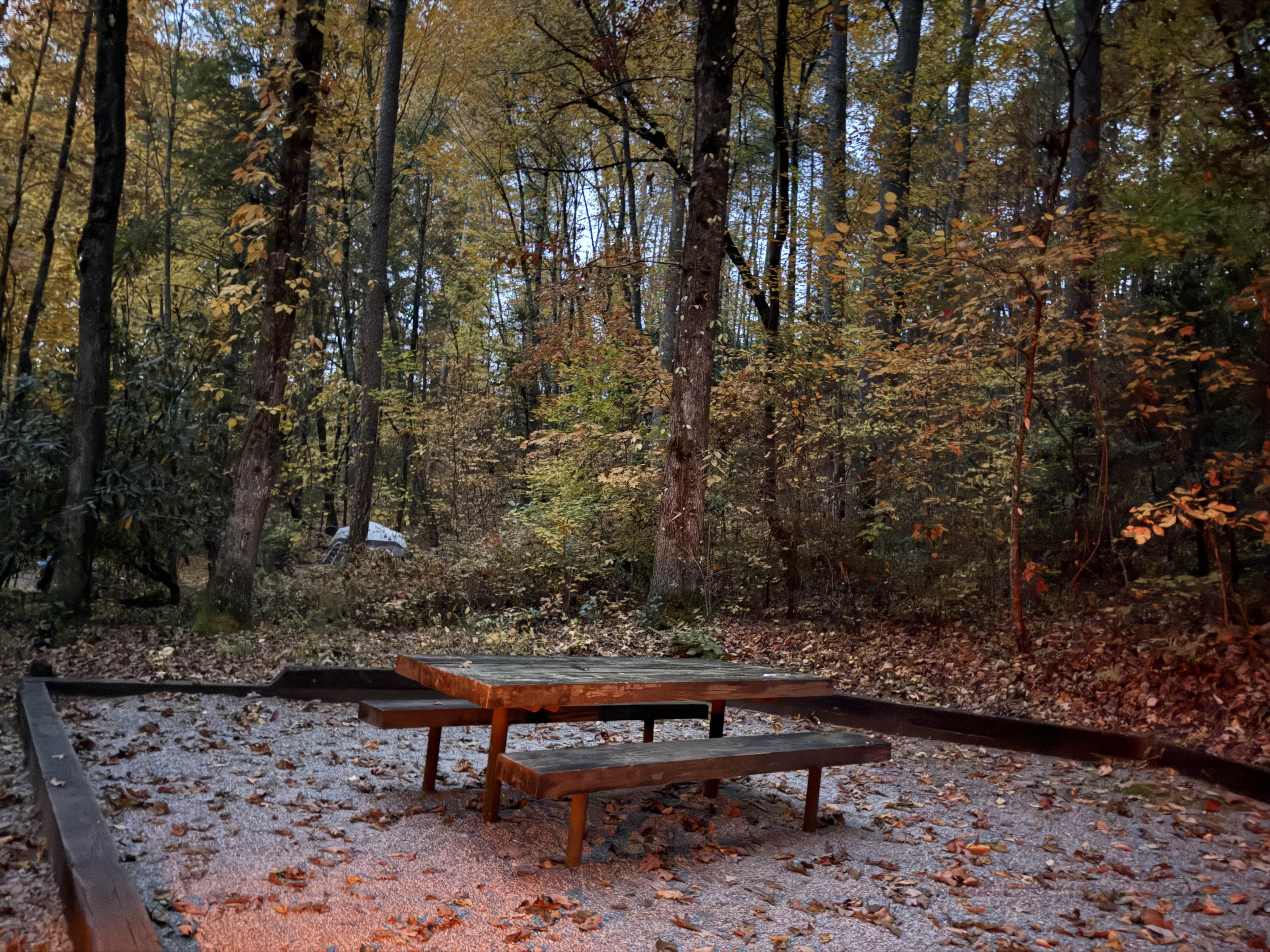 Camper submitted image from Lake Rabun Beach Recreation Area - 4