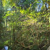 Review photo of Lake Rabun Beach Recreation Area by Brittany T., August 11, 2026