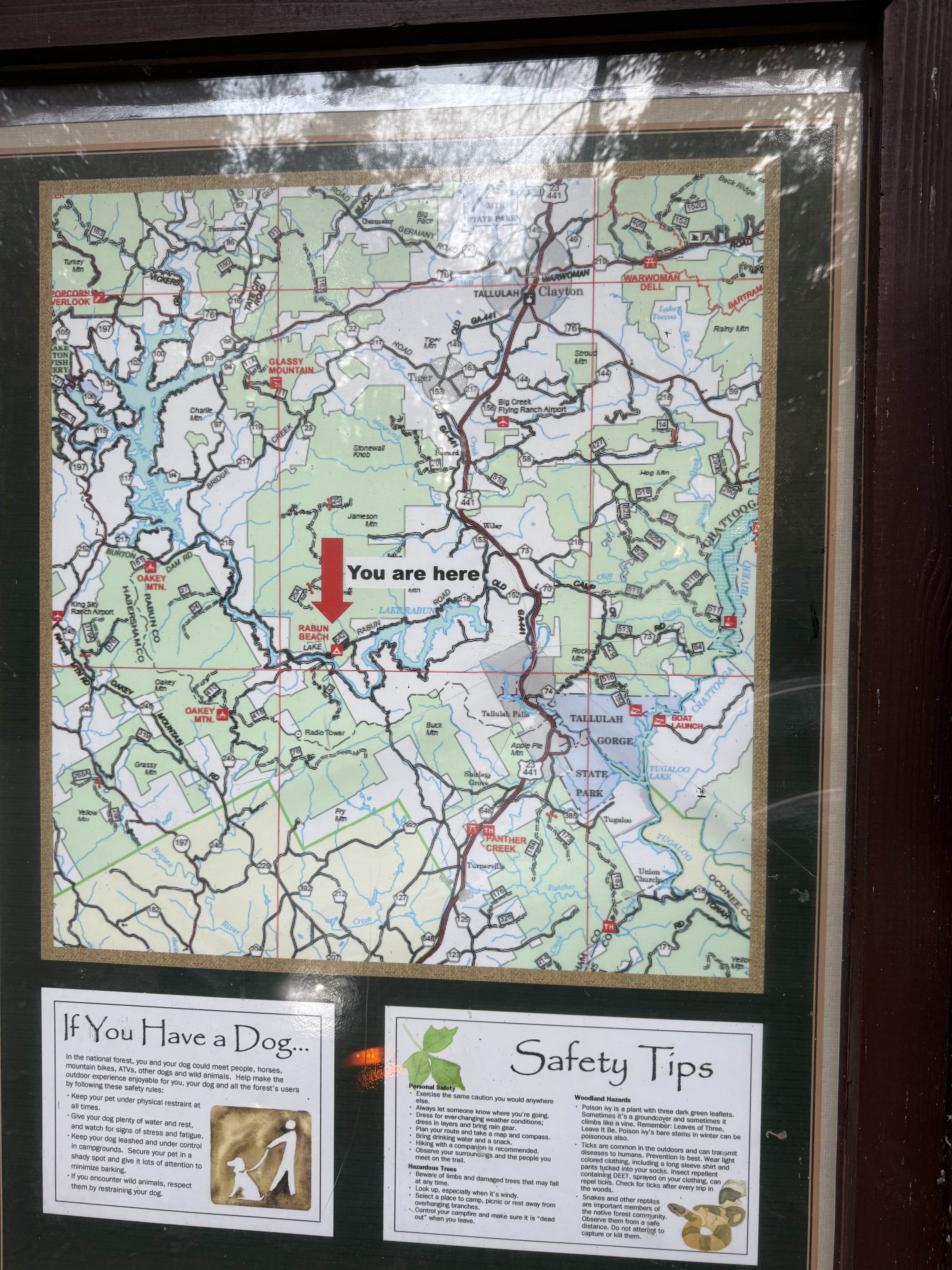 Camper submitted image from Lake Rabun Beach Recreation Area - 3