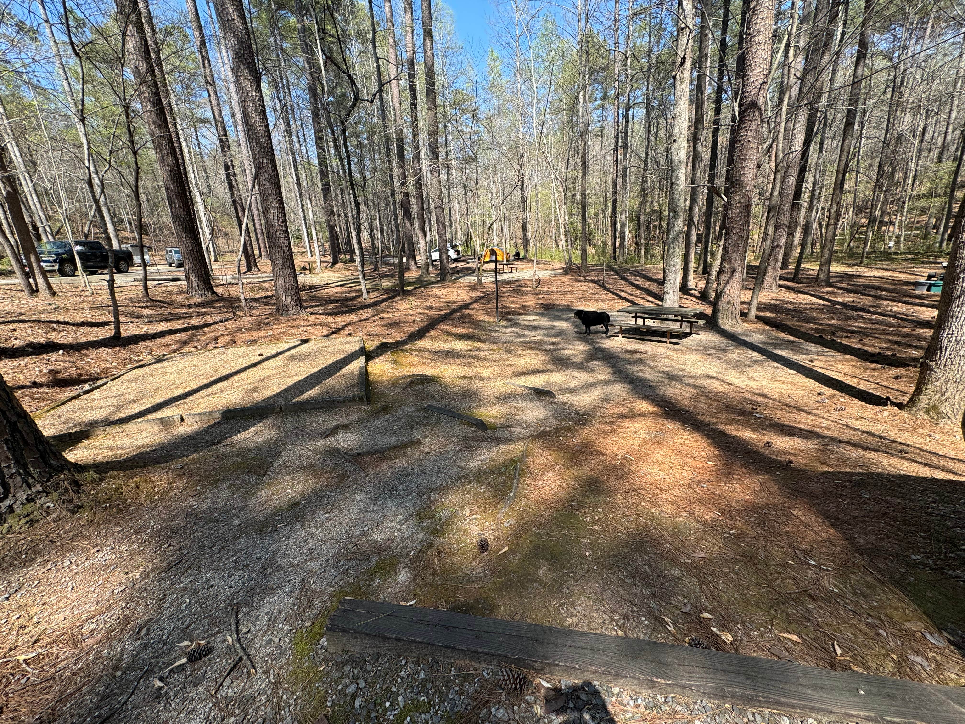 Elizabeth G.'s photo of camping with pets at Lake Russell Recreation Area near Lavonia, GA
