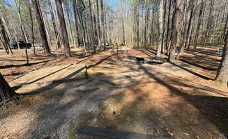Elizabeth G.'s photo of camping with pets at Lake Russell Recreation Area near Baldwin, GA