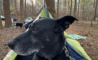 Hanna P.'s photo at Lake Russell Recreation Area in Georgia