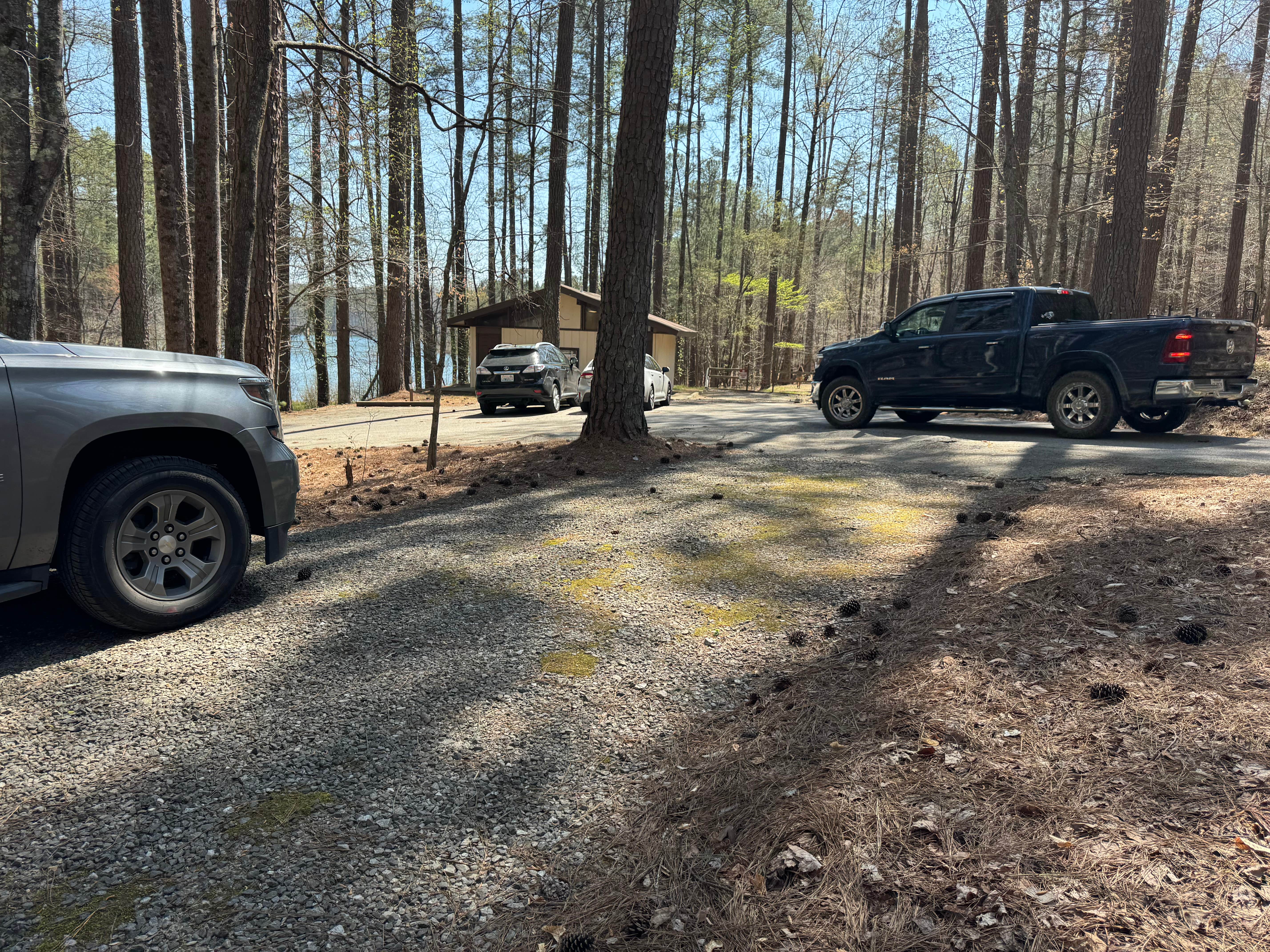 Camper submitted image from Lake Russell Recreation Area - 5