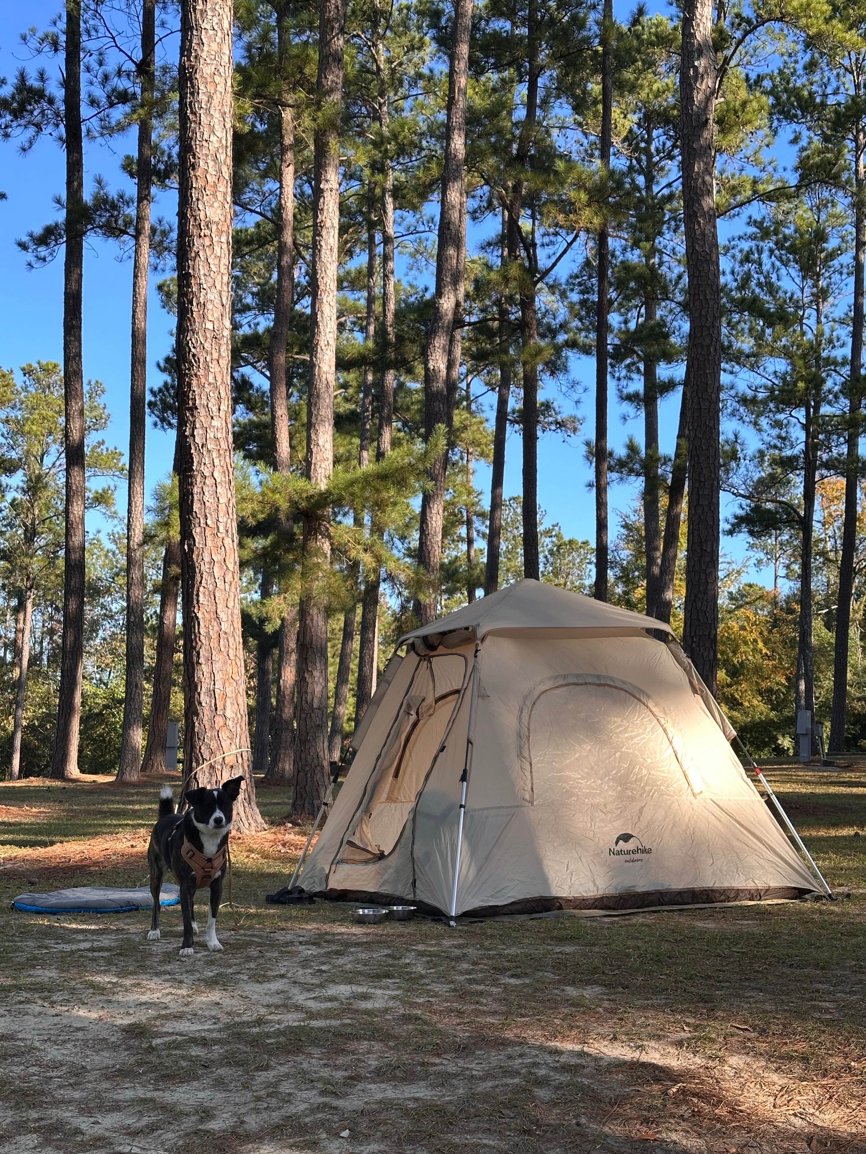 Justin R.'s photo of camping with pets at Claystone Park Campground near Warner Robins, GA