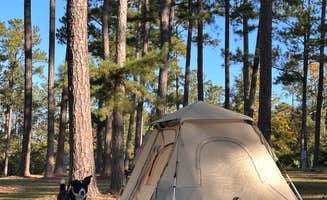 Justin R.'s photo of camping with pets at Claystone Park Campground near Centerville, GA