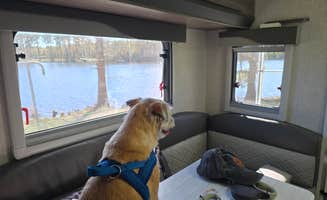 Steven & Dorth S.'s photo of camping with pets at Laura S Walker State Park Campground near Waycross, GA