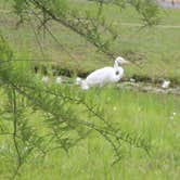 Review photo of Laura S Walker State Park Campground by Joel R., June 13, 2025