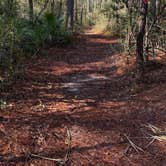 Review photo of Laura S Walker State Park Campground by Lorilee S., January 2, 2025