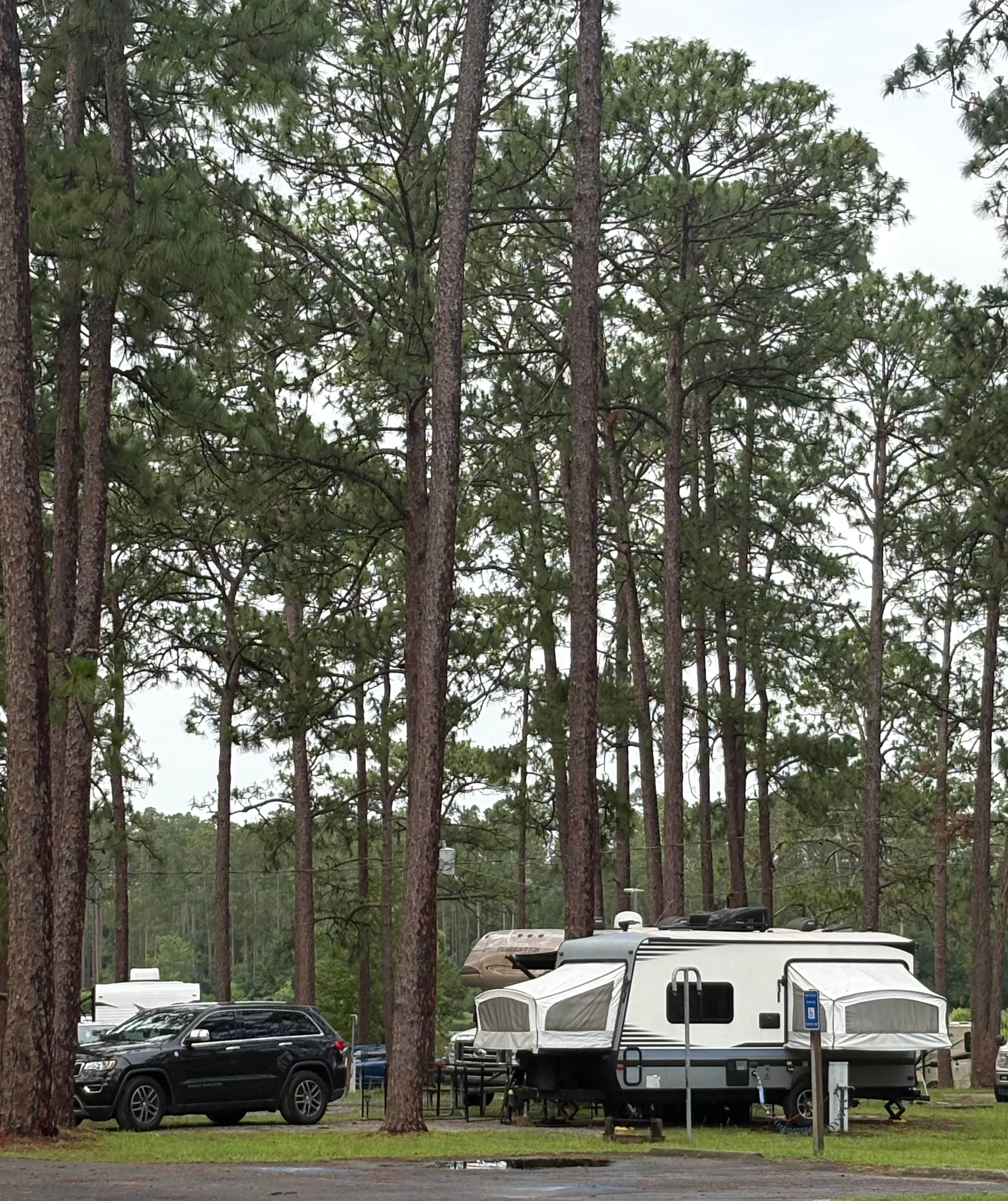 Joel R.'s photo at Laura S Walker State Park Campground near Folkston, GA