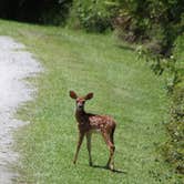 Review photo of Laura S Walker State Park Campground by Joel R., June 13, 2025