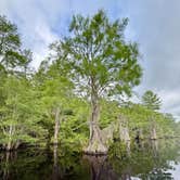 Review photo of Laura S Walker State Park Campground by G F., June 9, 2025