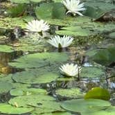 Review photo of Laura S Walker State Park Campground by Joel R., June 13, 2025