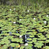 Review photo of Laura S Walker State Park Campground by Joel R., June 13, 2025