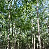 Review photo of Little Ocmulgee State Park & Lodge by G F., June 11, 2025