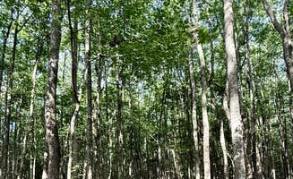 G F.'s photo of camping with pets at Little Ocmulgee State Park & Lodge near Lumber City, GA