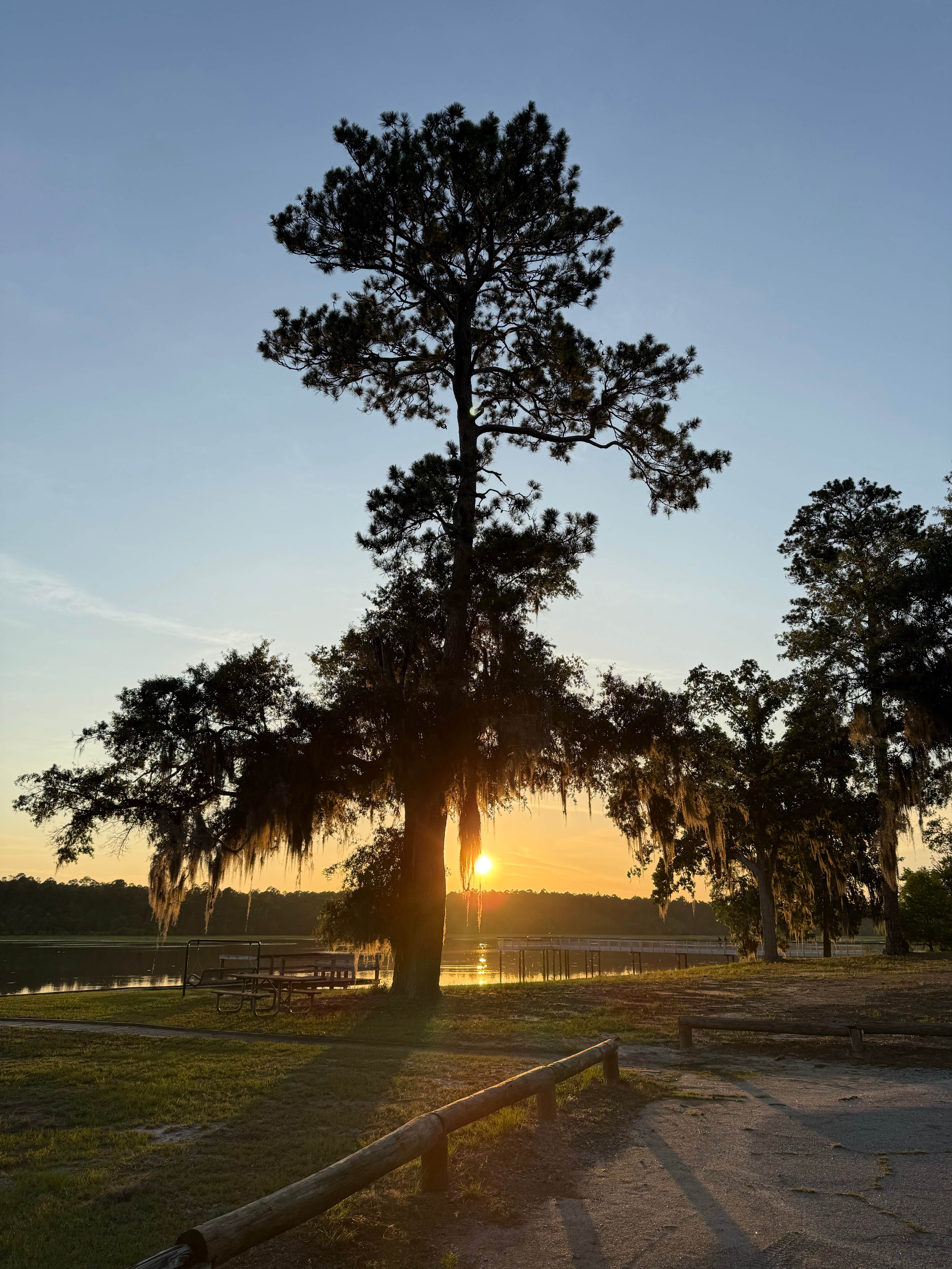 Camper-submitted photo at Little Ocmulgee State Park & Lodge near Nicholls, GA