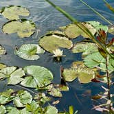 Review photo of Magnolia Springs State Park Campground by G F., June 13, 2025