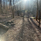 Review photo of Mistletoe State Park Campground by Bethany G., January 16, 2024