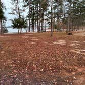 Review photo of Mistletoe State Park Campground by Kelley P., December 3, 2025