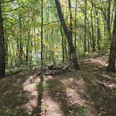 Review photo of Mulky Campground by George M., October 12, 2025