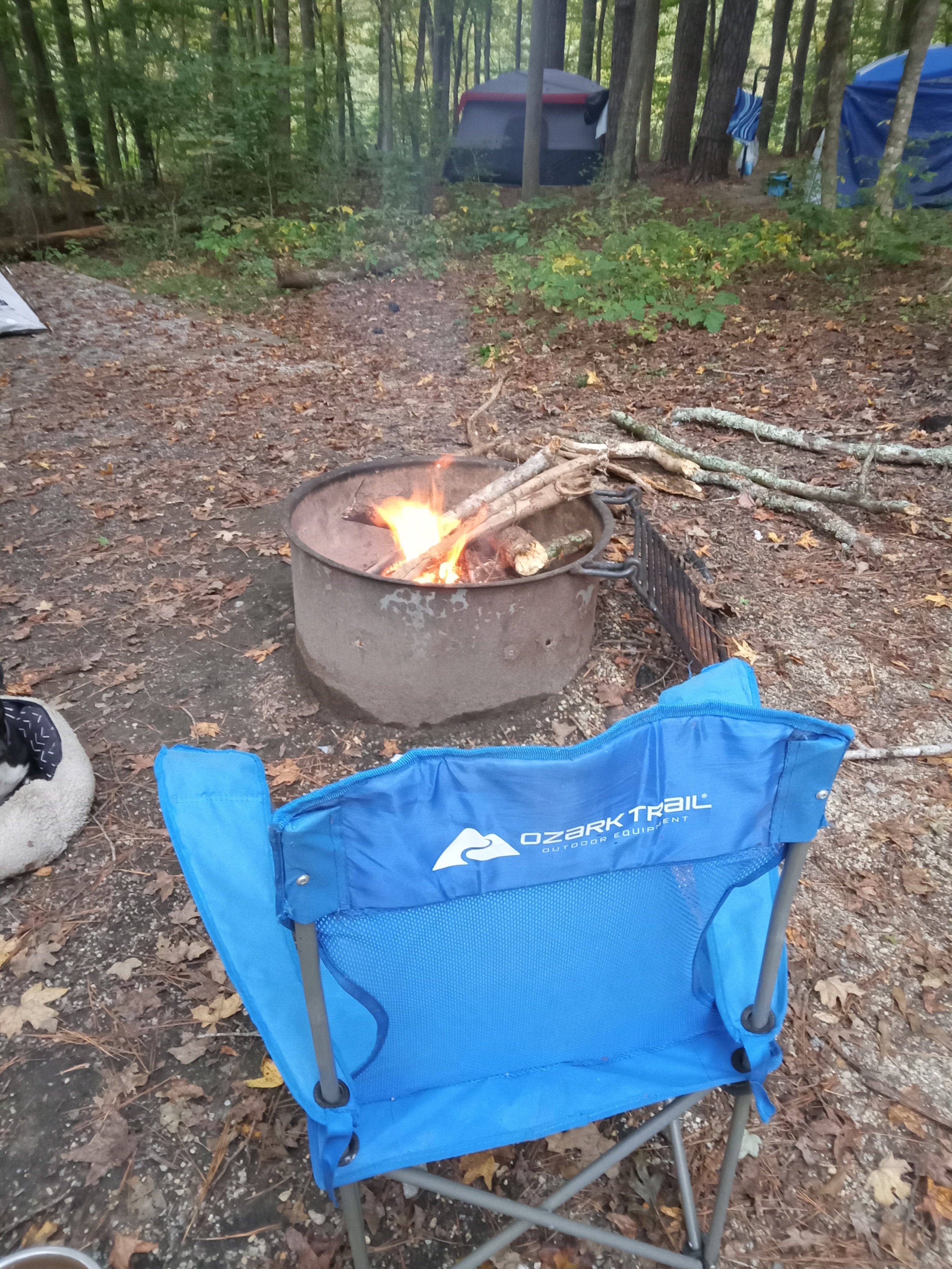 Camper submitted image from Oconee River Campground - 1