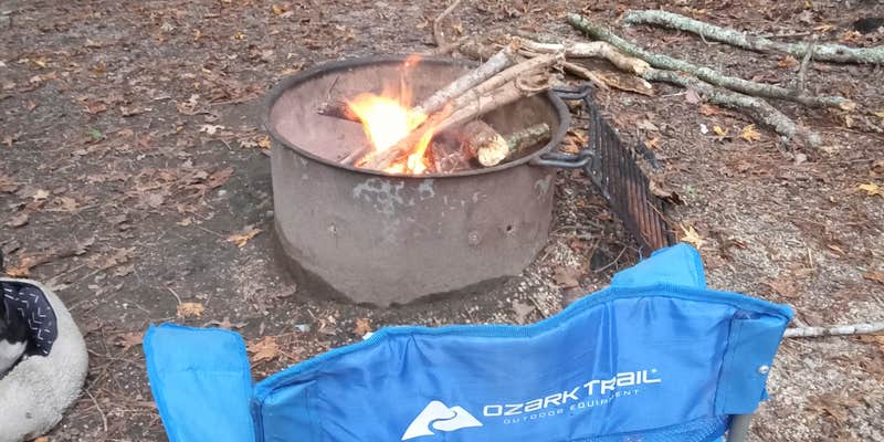 Camper submitted image from Oconee River Campground