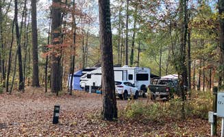 Roger W.'s photo at Petersburg near Woodland, GA