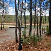 Review photo of Petersburg - J Strom Thurmond Lake by Roger W., November 22, 2023