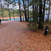 Review photo of Petersburg - J Strom Thurmond Lake by Roger W., November 22, 2023