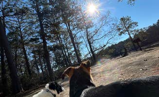 SJ W.'s photo of camping with pets at R. Shaefer Heard Campground near West Point Lake