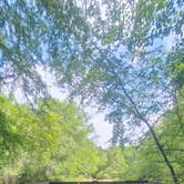 Review photo of Reed Bingham State Park Campground by Sally L., June 27, 2026