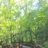 Review photo of Reed Bingham State Park Campground by Sally L., June 27, 2026
