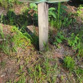 Review photo of Reed Bingham State Park Campground by Sally L., June 27, 2026