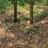 Review photo of Reed Bingham State Park Campground by Sally L., June 27, 2026