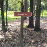 Review photo of Reed Bingham State Park Campground by Sally L., June 27, 2026